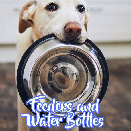 Feeders & Water Bottles