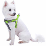 Padded Harness with 3M Reflective Stripes