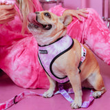 Frenchie Duo Reversible Harness - Pink Tie Dye