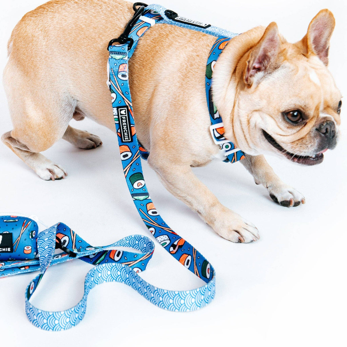 Frenchie Comfort Leash - Sushi