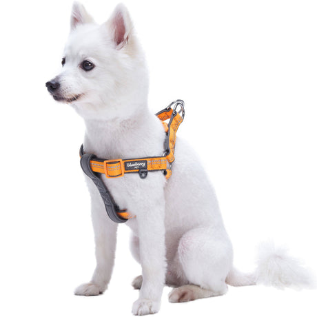 Padded Harness with 3M Reflective Stripes