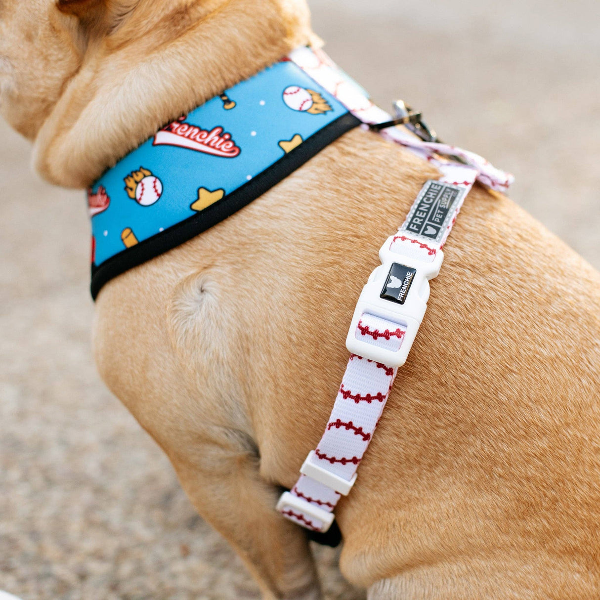 Frenchie Duo Reversible Harness - Batter Up