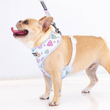 Frenchie Duo Reversible Harness - Ohh Sh*t