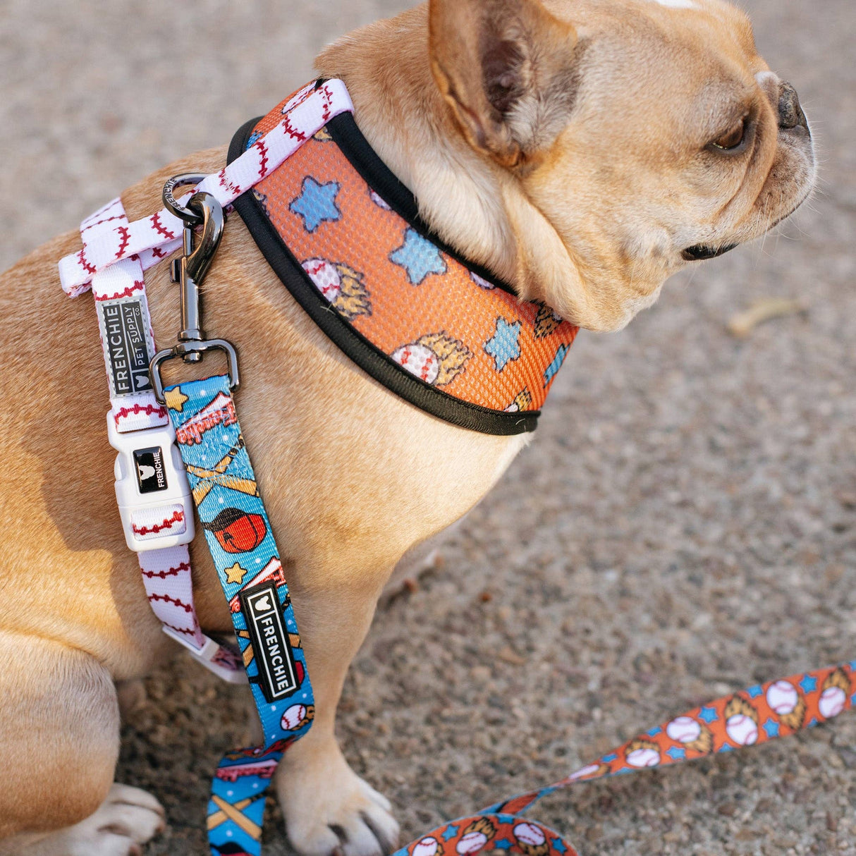 Frenchie Duo Reversible Harness - Batter Up