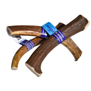 Elk Antler (Large) - Whole