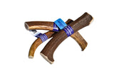 Elk Antler (Large) - Whole