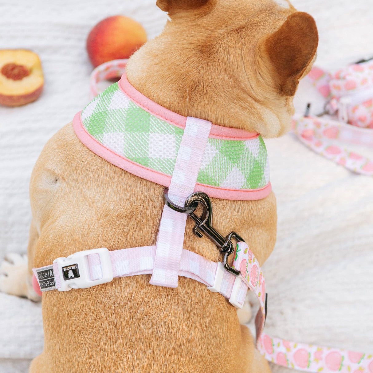 Frenchie Duo Reversible Harness - Peaches