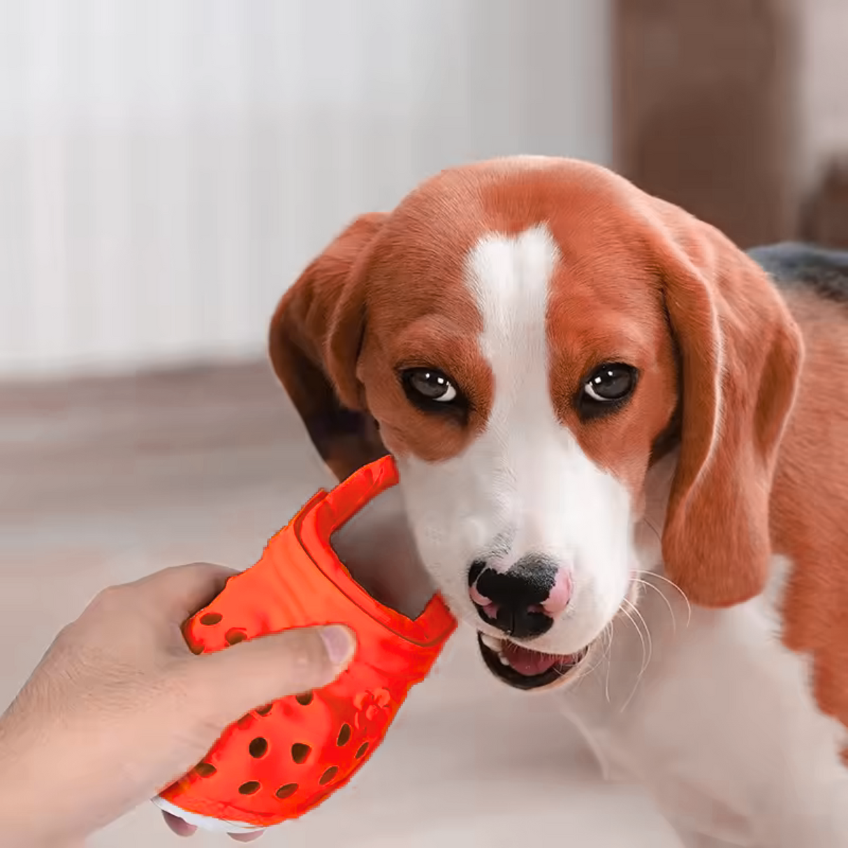 Slipper Dog Toy