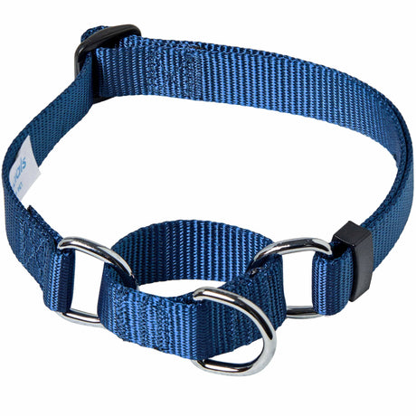 Martingale Dog Collar