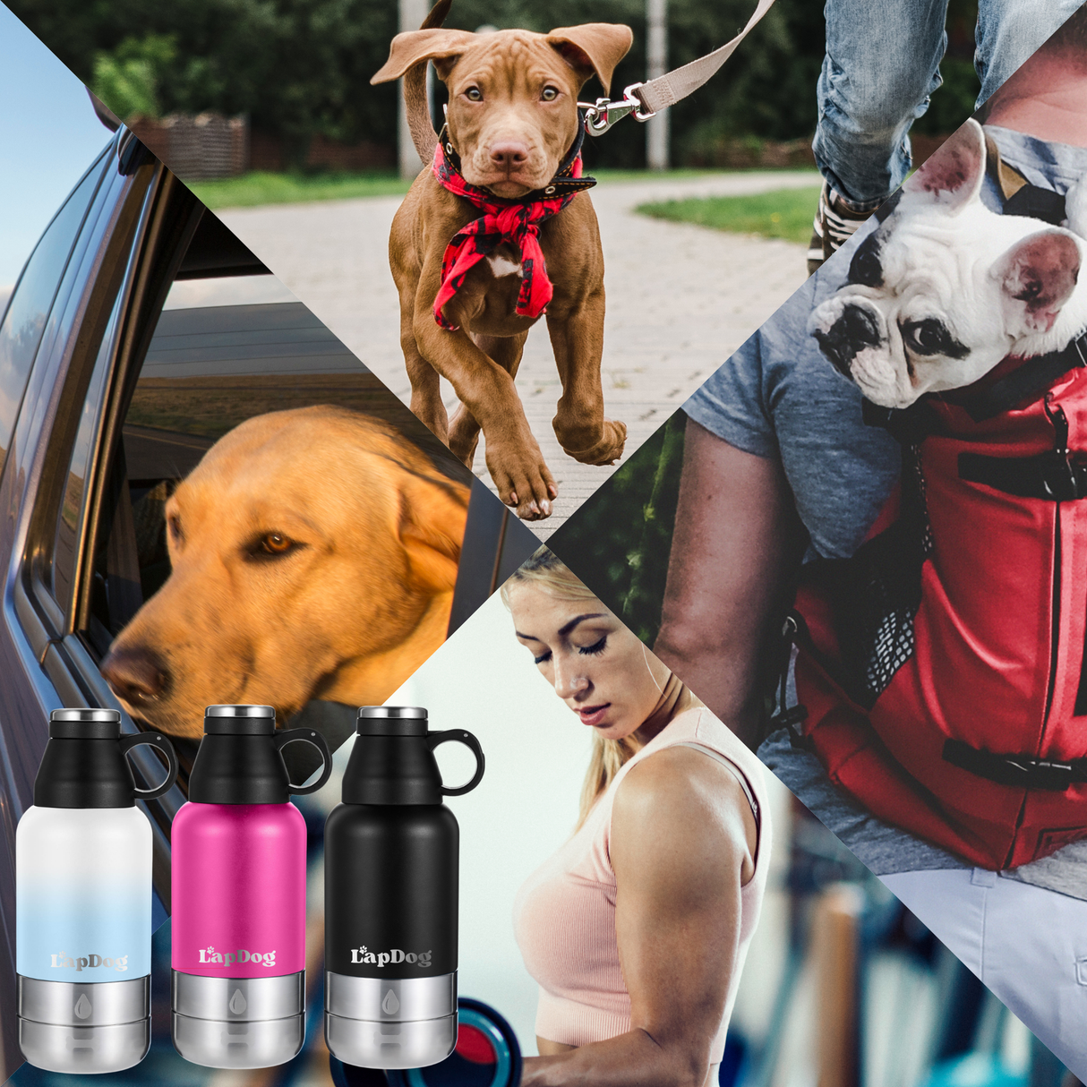 Lapdog ALL in ONE Travel Bottle