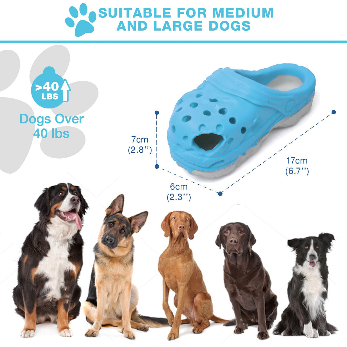 Slipper Dog Toy