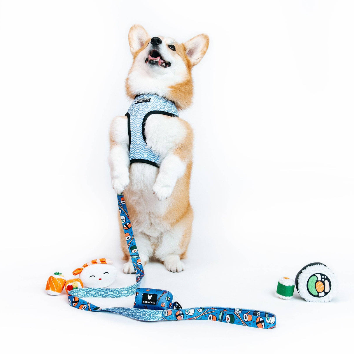 Frenchie Comfort Leash - Sushi