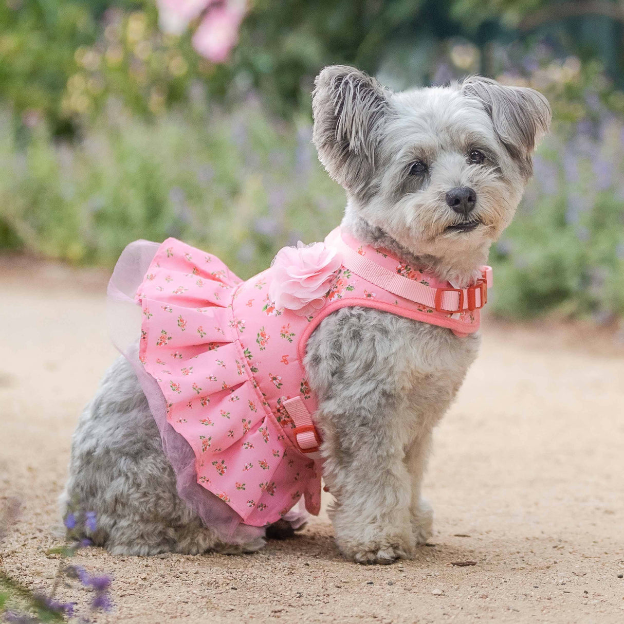 Made Well Floral Dog Dress Harness