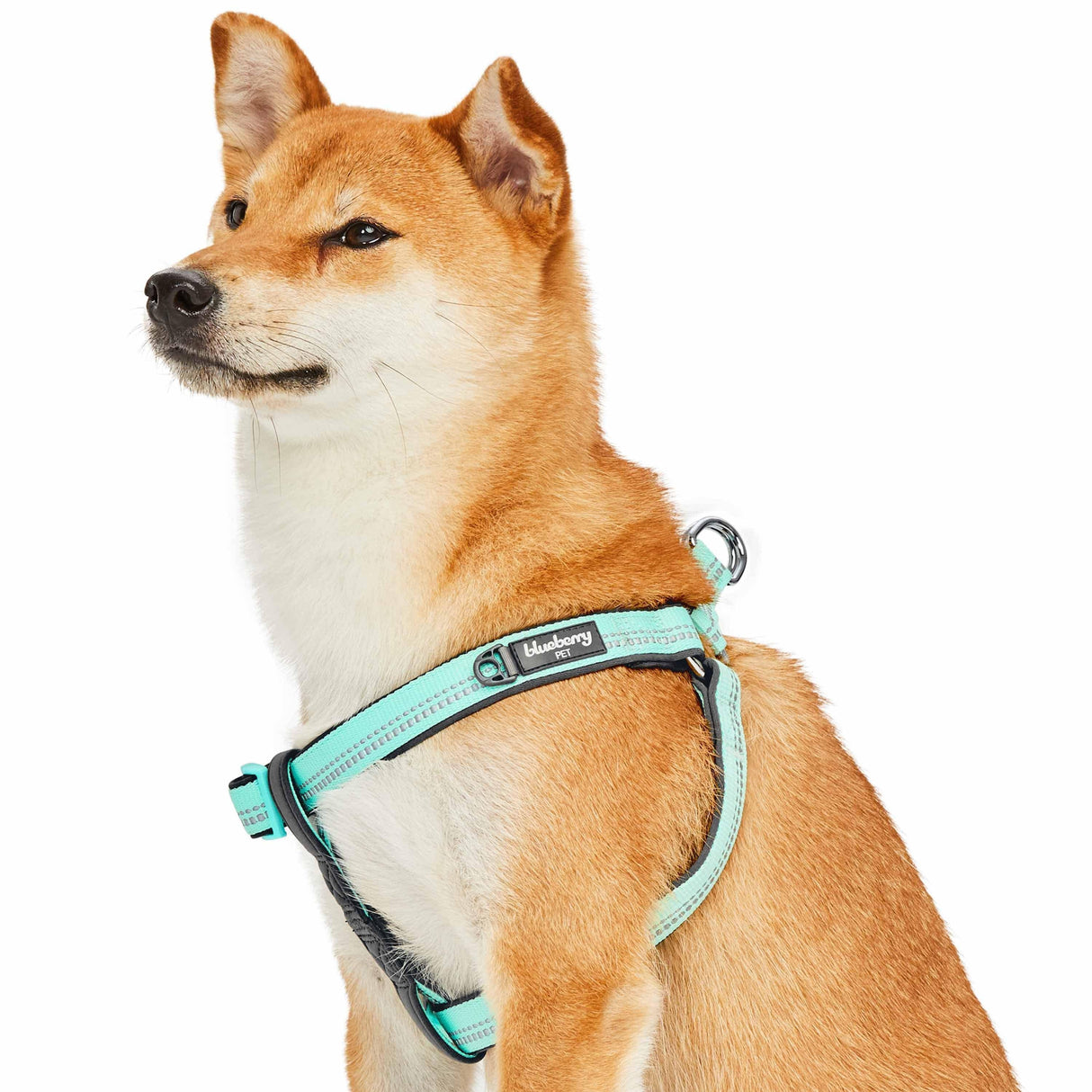 Padded Harness with 3M Reflective Stripes