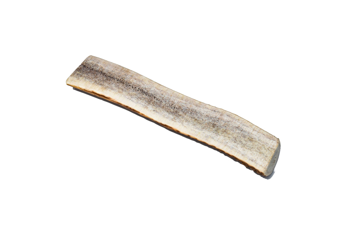 Elk Antler (Large) - Split