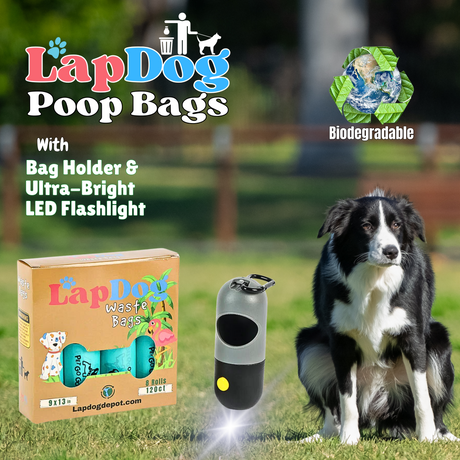 Box of Dog Poop Bags with LED Flashlight Holder