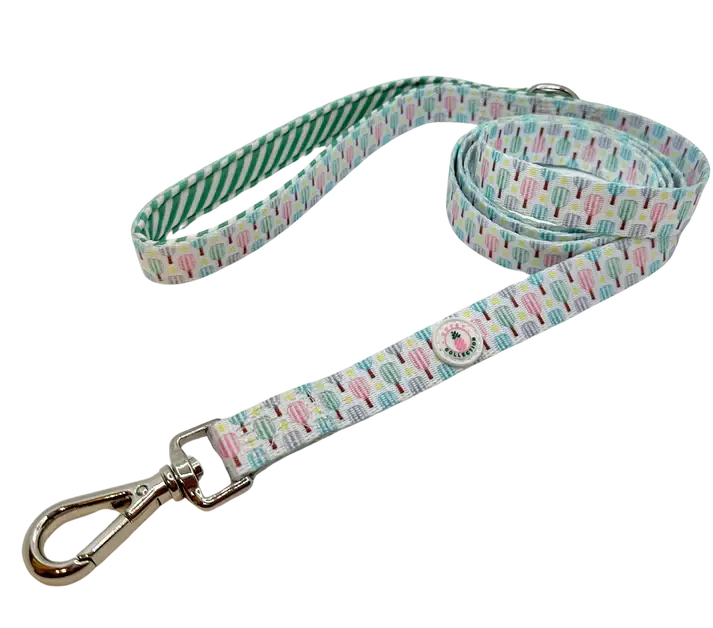 Pickleball Leash