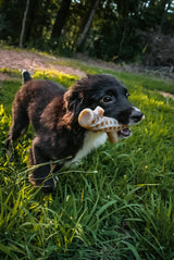 Hard Chew Nylon Elk Antler