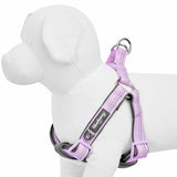 Padded Harness with 3M Reflective Stripes