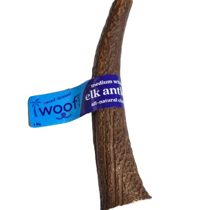 Elk Antler (Medium) - Whole