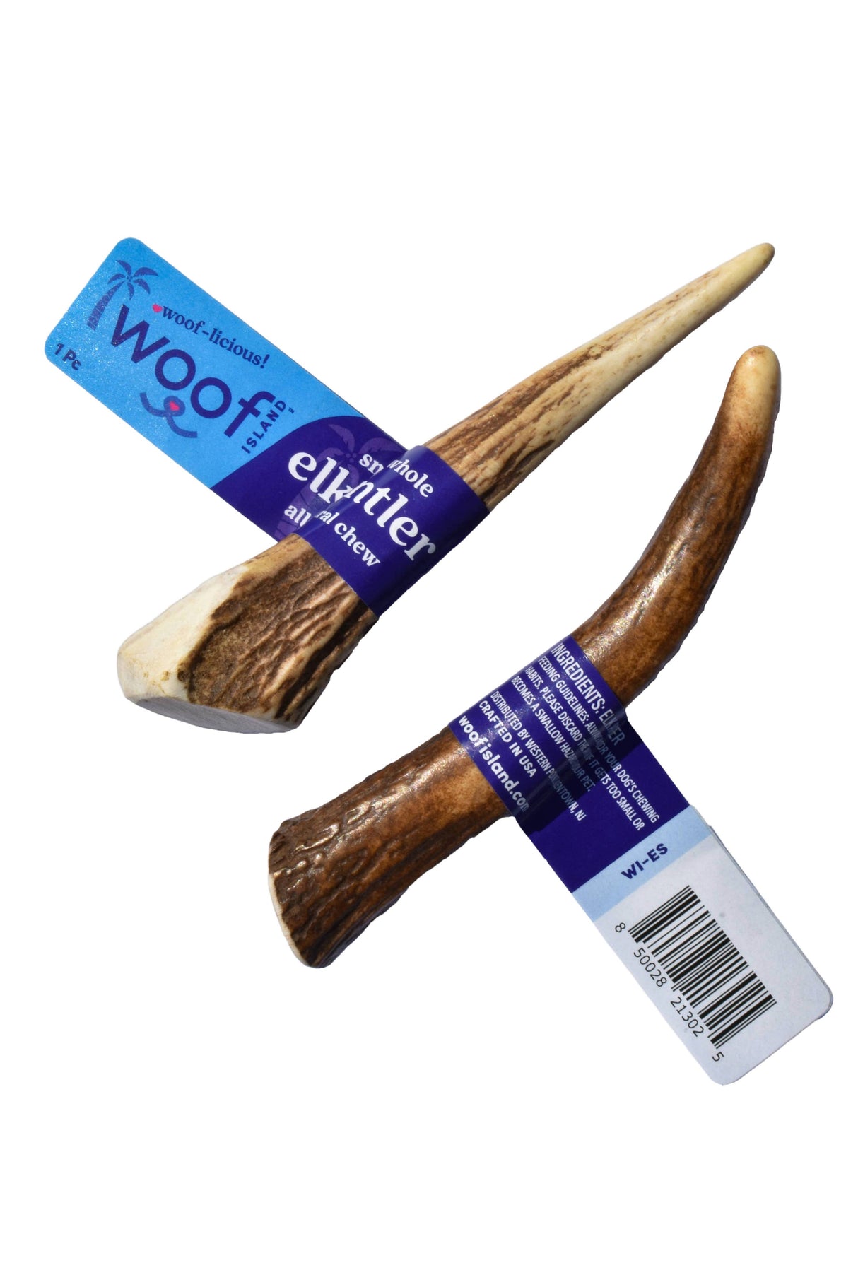 Elk Antler (Small) - Whole