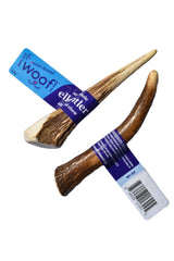 Elk Antler (Small) - Whole