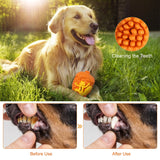 Look Squirrel! Pinecone Dog Chew Toy