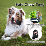 Treasure Chest Dog Chew Toy