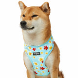 Tropical Plumeria Flower Dog Harness Vest