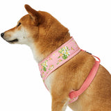 Tropical Plumeria Flower Dog Harness Vest