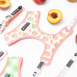 Frenchie Duo Reversible Harness - Peaches