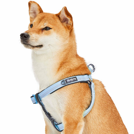 Padded Harness with 3M Reflective Stripes