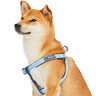 Padded Harness with 3M Reflective Stripes