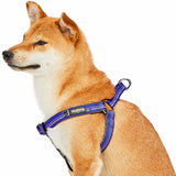 Padded Harness with 3M Reflective Stripes