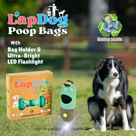 Box of Dog Poop Bags with LED Flashlight Holder