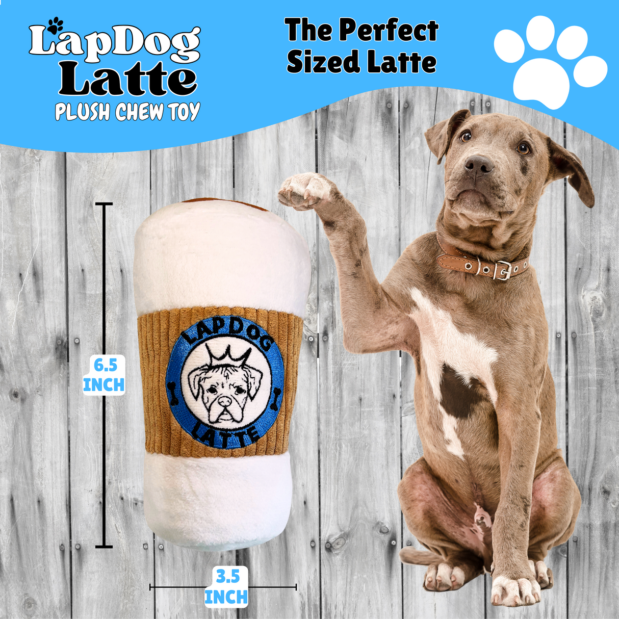 LapDog Latte plush dog toy