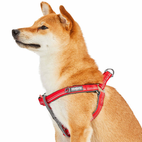 Padded Harness with 3M Reflective Stripes