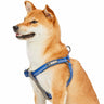 Padded Harness with 3M Reflective Stripes