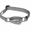 Martingale Dog Collar