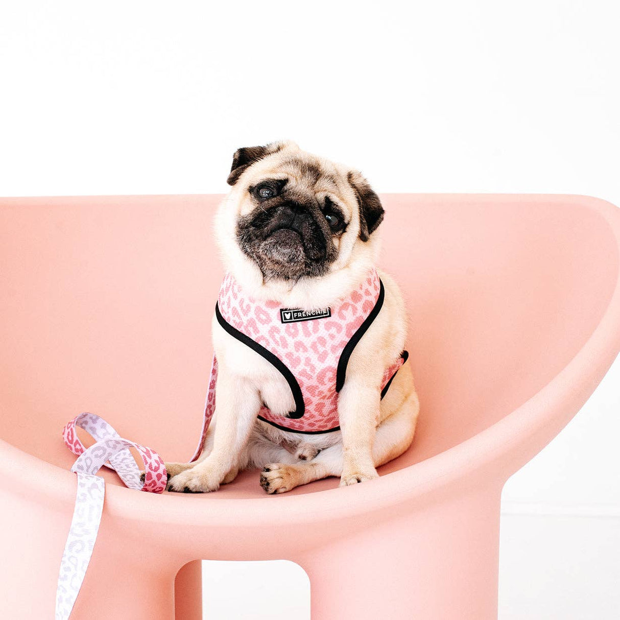 Frenchie Duo Reversible Harness - The Leo- Beige