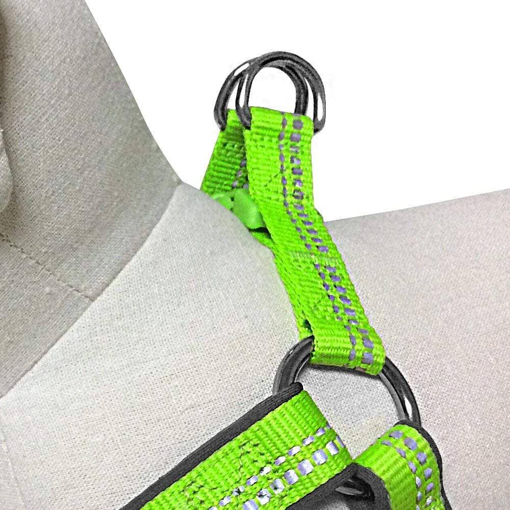 Padded Harness with 3M Reflective Stripes