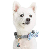 Nautical Dog Collar Bowtie Set