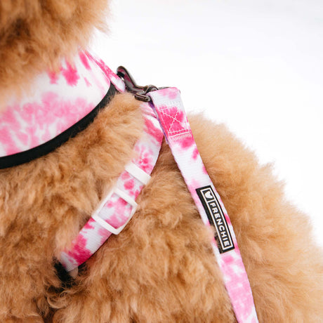 Frenchie Comfort Leash - Pink Tie Dye