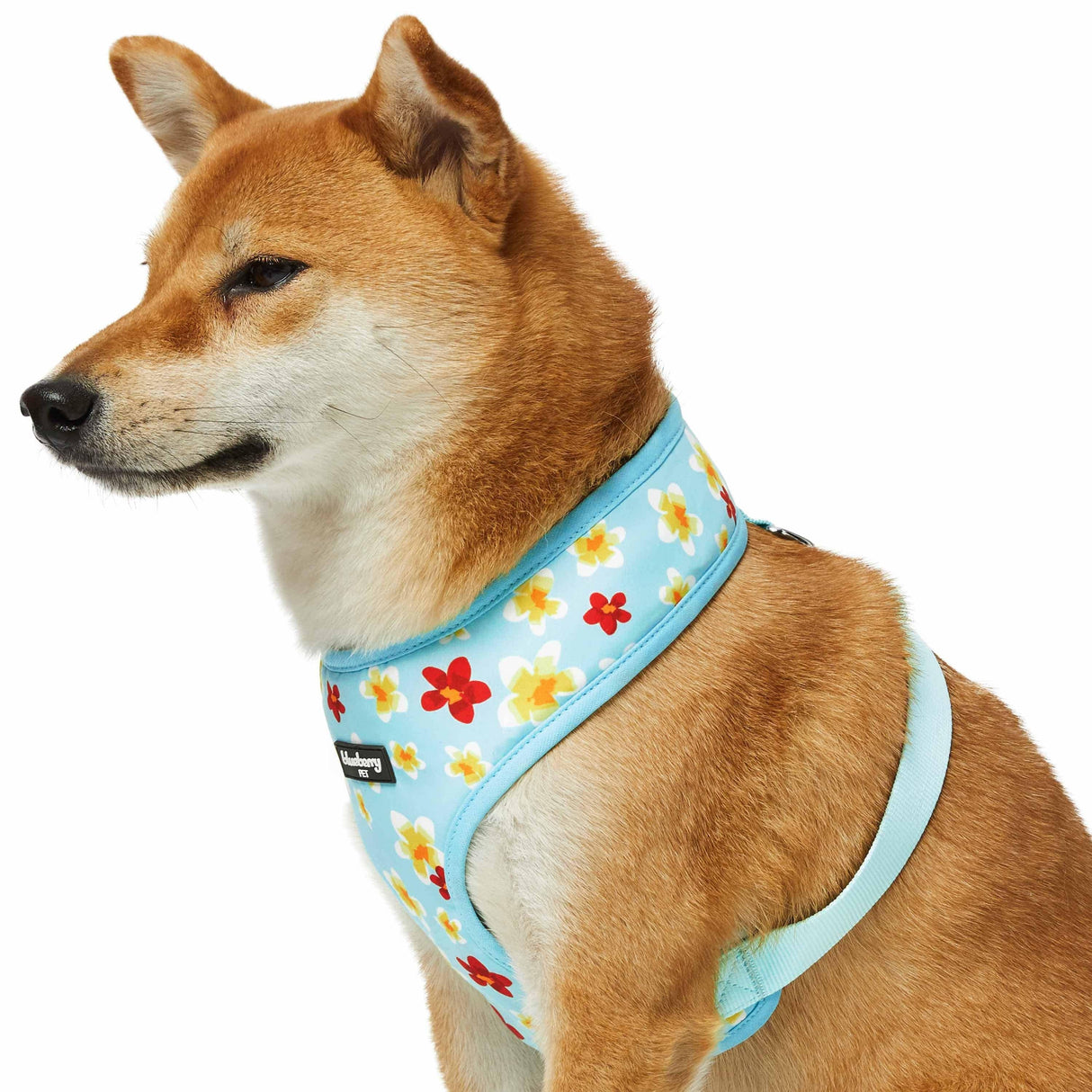 Tropical Plumeria Flower Dog Harness Vest