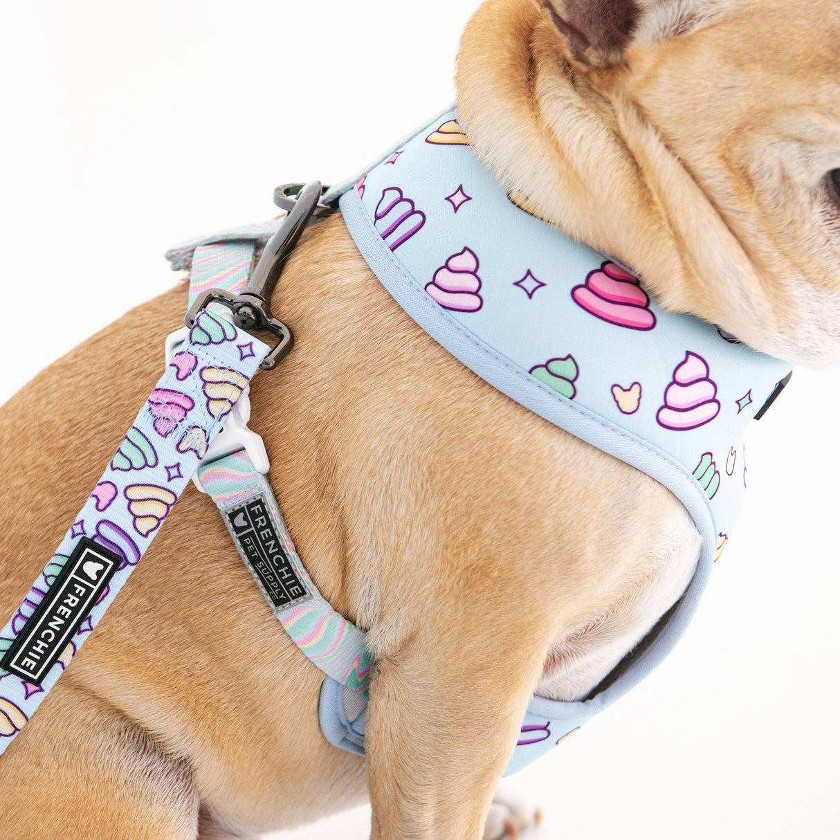 Frenchie Duo Reversible Harness - Ohh Sh*t