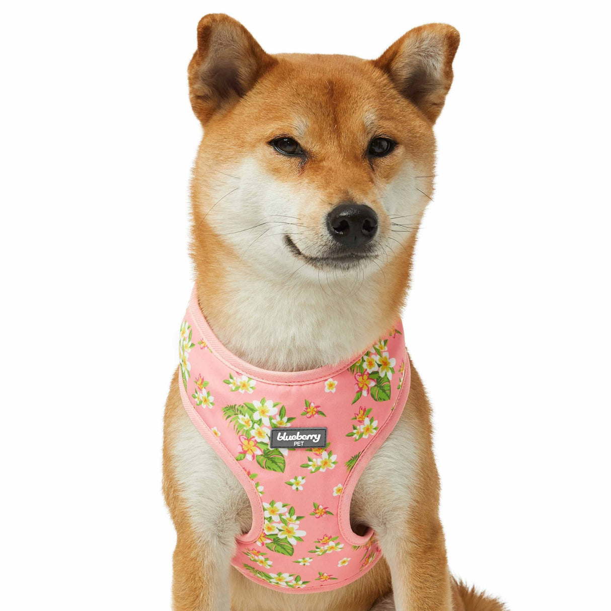 Tropical Plumeria Flower Dog Harness Vest