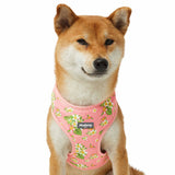 Tropical Plumeria Flower Dog Harness Vest