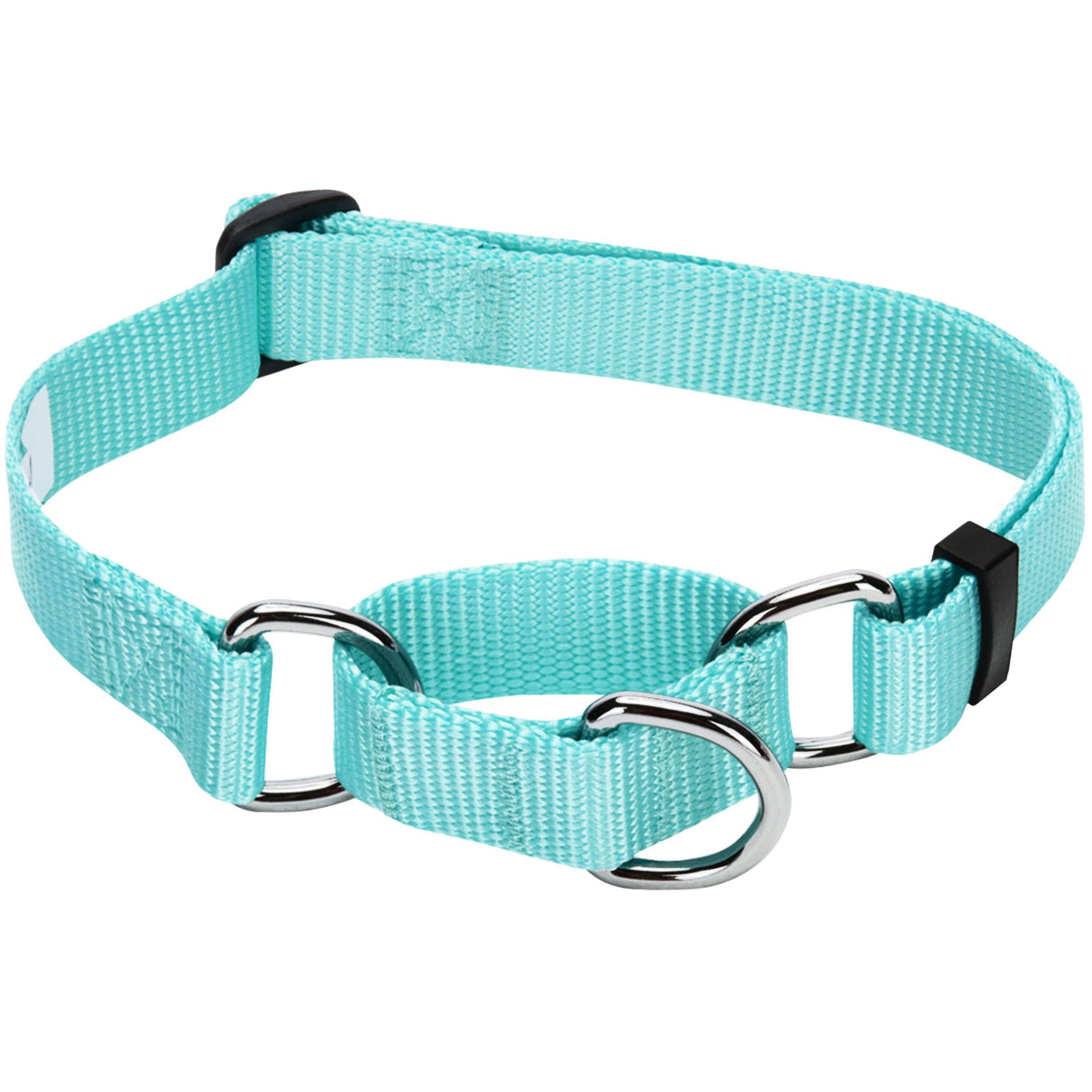 Martingale Dog Collar