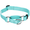 Martingale Dog Collar