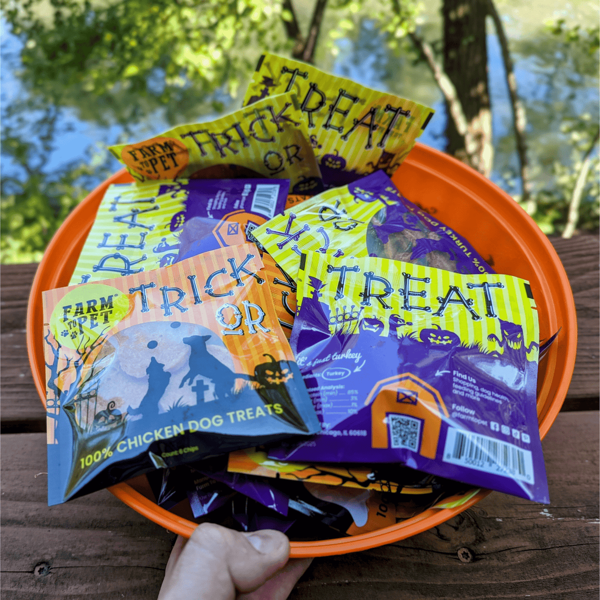 Halloween Snack Pack Dog Treats